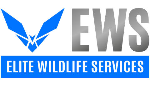 ELITE-WILDLIFE-SERVICES